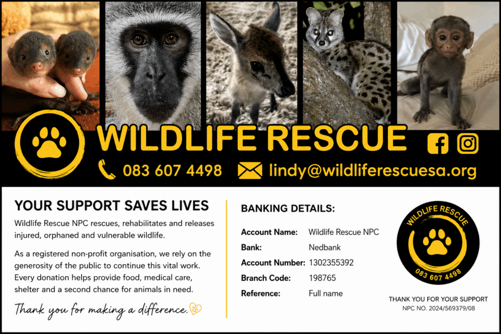 Wildlife Rescue NPC donation information and banking details